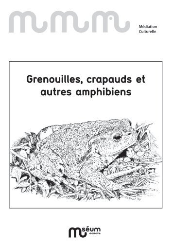 Grenouilles, crapauds et autres amphibiens (pdf ... - Ville de Genève