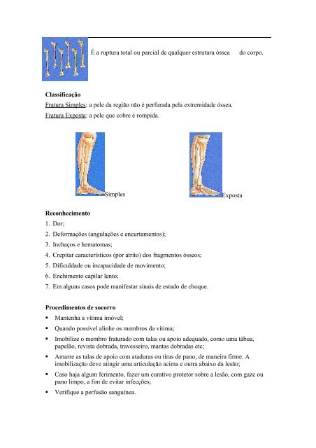 Manual do Condutor - Livros Grátis