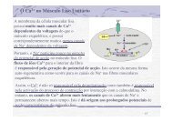 AULA 6 Músculo Liso Biofísica Molecular 2012-2013.pdf