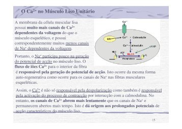 AULA 6 Músculo Liso Biofísica Molecular 2012-2013.pdf