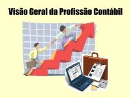 Visão Geral da Profissão Contábil