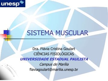 Sistema_muscular - Unesp