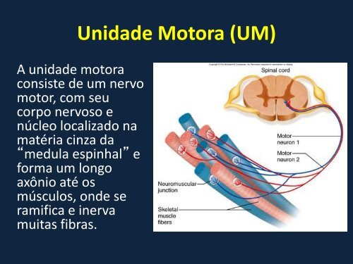 AULA 6 - Profedf.ufpr.br