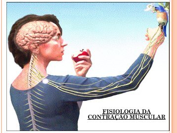 Aula 5 - FISIOLOGIA DA CONTRAÇÃO MUSCULAR.pdf - UniFOA