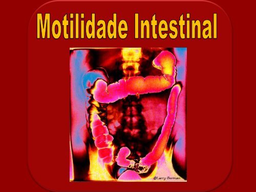 aulas fisiologia\5. digestivo\MOTILIDADE INTESTINAL 2012 ... - Unirio