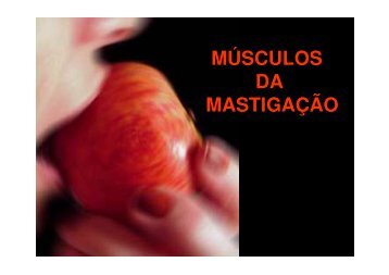 Módulo 3 - Anatomia - Músculos da Mastigação