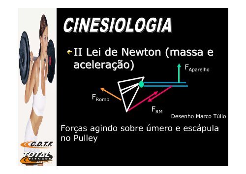 Anatomia e Cinesiologia aplicada