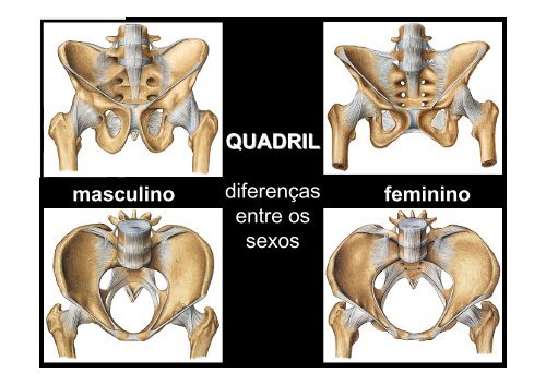 Anatomia e Cinesiologia aplicada