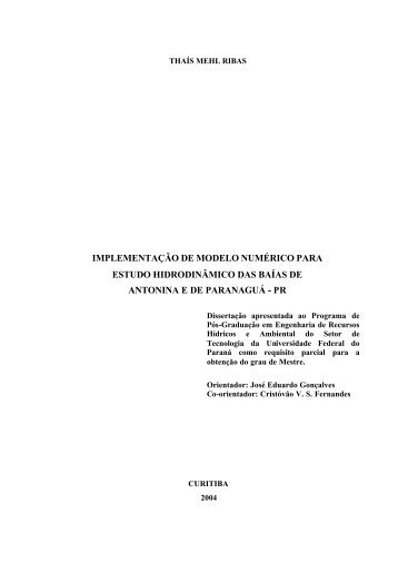 implementação de modelo numérico para estudo hidrodinâmico das ...