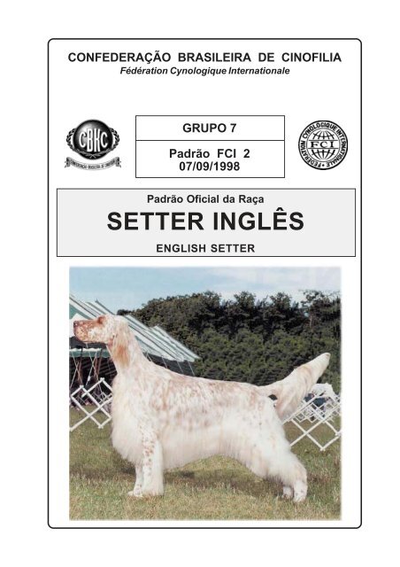 SETTER INGLÊS