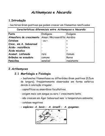 Actinomicetos - UFF