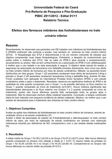 Edital 01/11 Relatório Técnico E - Pró-Reitoria de Pesquisa e Pós ...