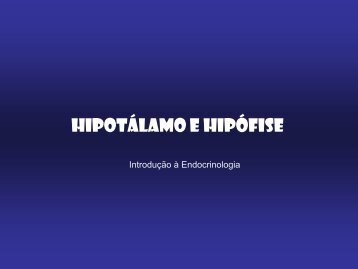 HIPOTÁLAMO E HIPÓFISE - UFF