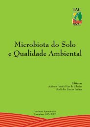 Microbiologia dos Solos