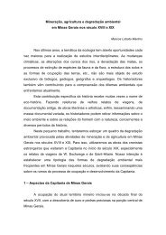 texto sobre Mineração, agricultura e degradação ... - Minas de História