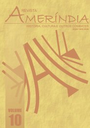 Download Versão Integral - Revista Ameríndia