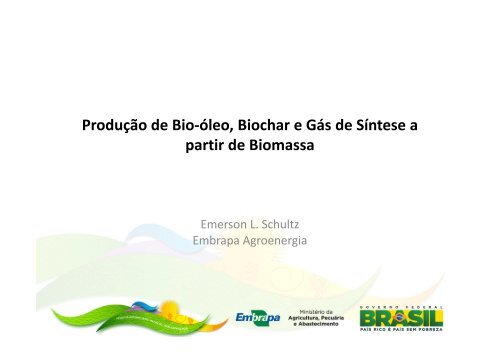 Produção de Bio-óleo, Biochar e Gás de Síntese a partir de Biomassa