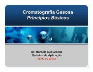 Cromatografia Gasosa Princípios Básicos