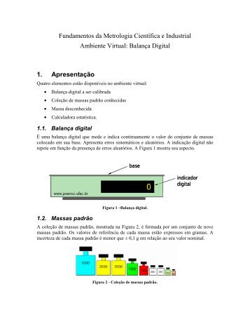 Instruções PDF - Labmetro