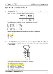 2º ANO – 2011 QUÍMICA-LITERATURA QUÍMICA ... - ClickFacil.net