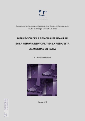 TD de Mª Lourdes Aranda Garrido.pdf - Repositorio Institucional de ...