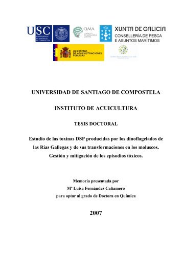 UNIVERSIDAD DE SANTIAGO DE COMPOSTELA INSTITUTO DE ...