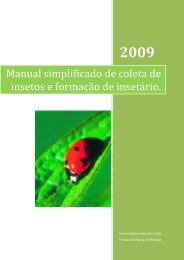 Manual simplificado de coleta de insetos e formação de insetário.