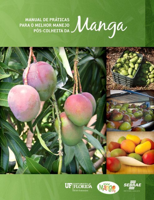 Fruta do Mês Manga Keitt: sinônimo de sabor, suculência e perfume, Blog