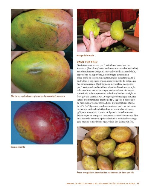 Manual - National Mango Board