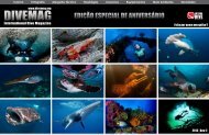 Link Alternativo - DIVEmAg