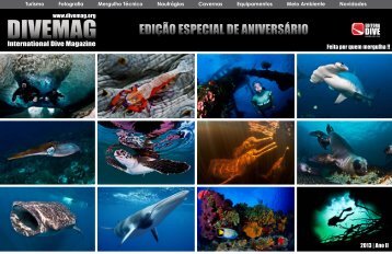 Link Alternativo - DIVEmAg