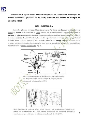 1 Estes trechos e figuras foram retirados da apostila de “Anatomia e ...