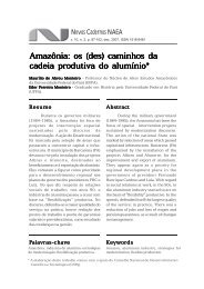 Amazônia: os (des) caminhos da cadeia produtiva do alumínio*