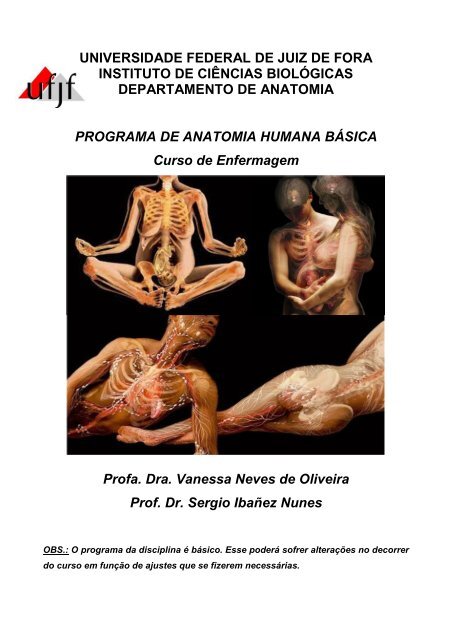 Mandíbula - Aula 4 Teórica - Anatomia - Anatomia Humana 