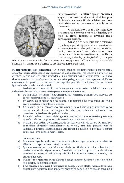 Técnica da Mediunidade - Portal Luz Espírita