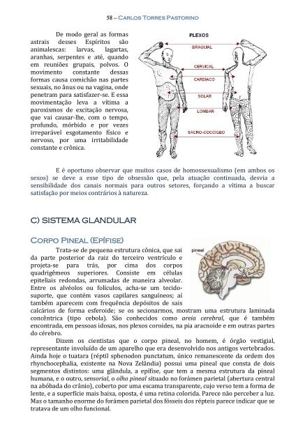 Técnica da Mediunidade - Portal Luz Espírita