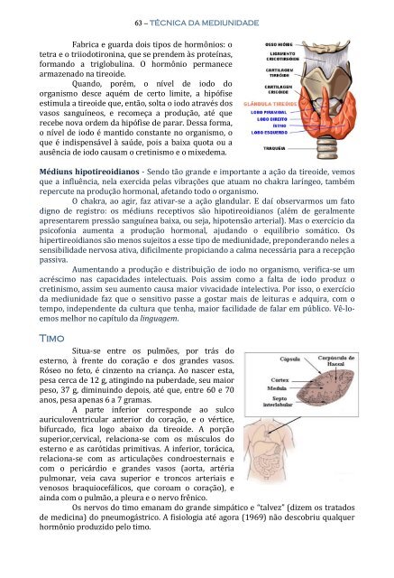 Técnica da Mediunidade - Portal Luz Espírita