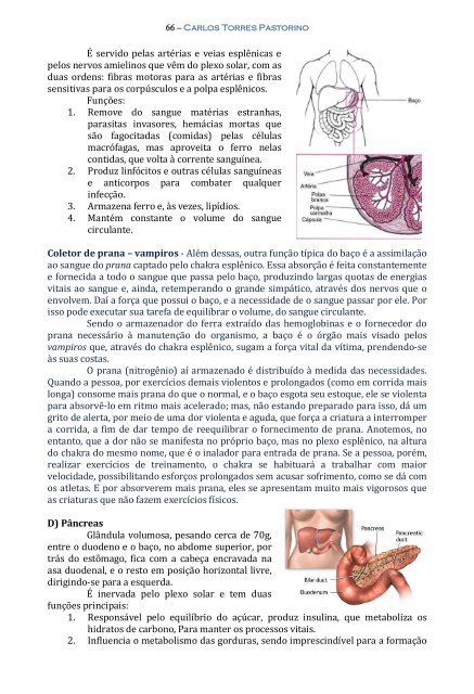 Técnica da Mediunidade - Portal Luz Espírita