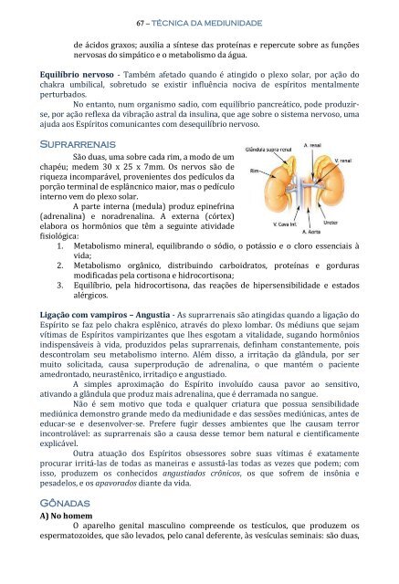 Técnica da Mediunidade - Portal Luz Espírita