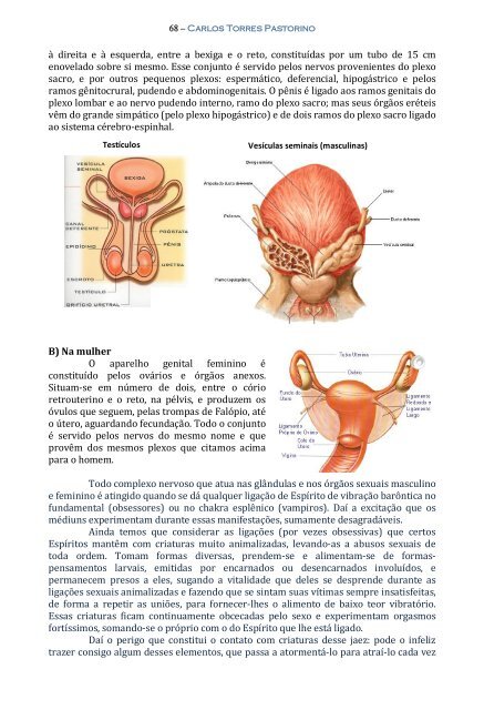 Técnica da Mediunidade - Portal Luz Espírita