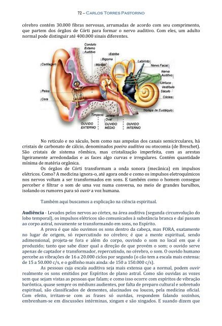 Técnica da Mediunidade - Portal Luz Espírita