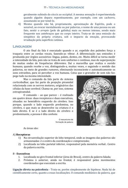 Técnica da Mediunidade - Portal Luz Espírita