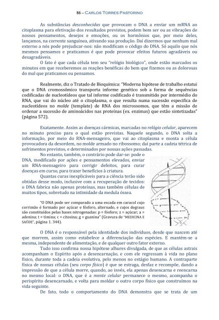 Técnica da Mediunidade - Portal Luz Espírita