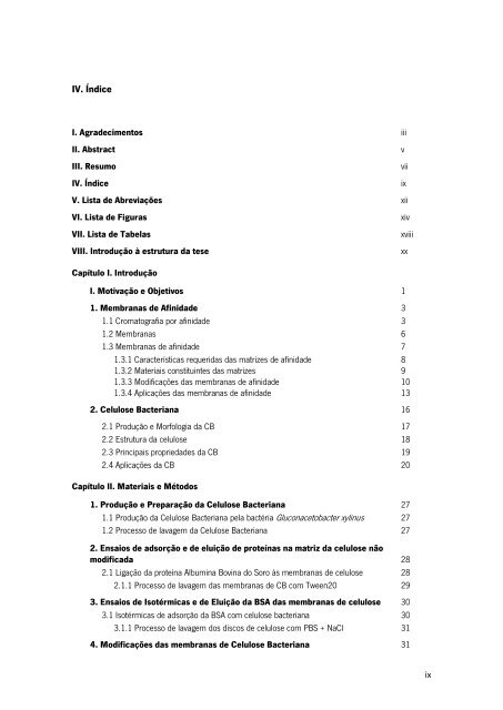Ana Sofia Costa Nunes.pdf - Universidade do Minho