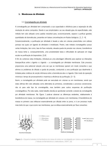 Ana Sofia Costa Nunes.pdf - Universidade do Minho