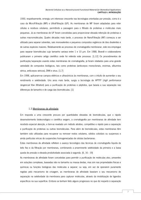 Ana Sofia Costa Nunes.pdf - Universidade do Minho