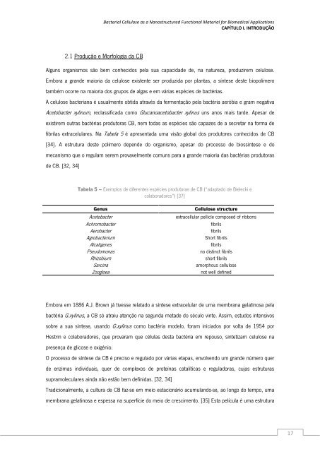 Ana Sofia Costa Nunes.pdf - Universidade do Minho