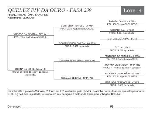 SUDOESTE PAULISTA ANIMAIS - Leite Gir