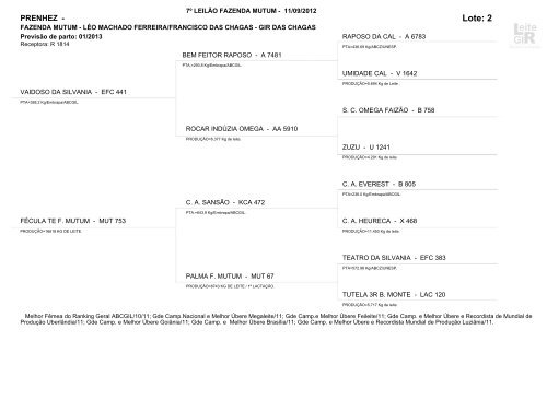 Lote: 1 - Leite Gir