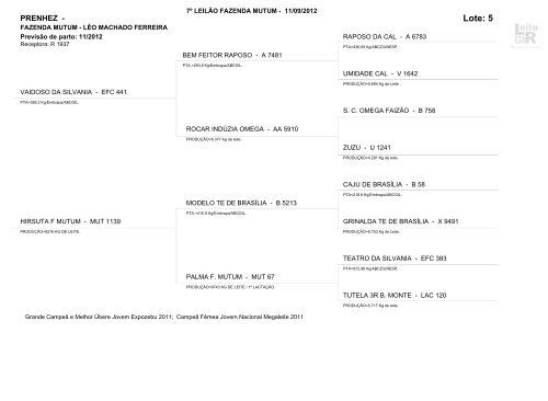 Lote: 1 - Leite Gir